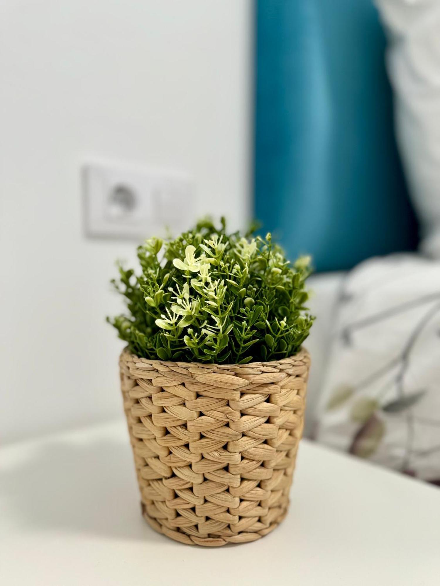Apartamento Centrico Vigo Zewnętrze zdjęcie